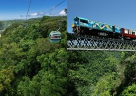 Half Day Skyrail & Kuranda Railway Combo