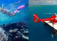 Reef Fly & Cruise Combo - Down Under Cruise & Dive