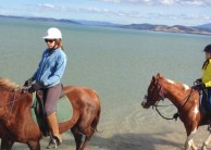 Horse Riding - Horse Riding Tasmania