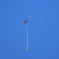 World Record Heli Bungy with AJ Hackett & Australian TV personality Grant Denyer - 300m tandem bungy