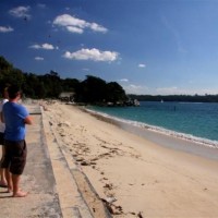 Cal contemplating a swim in Shark Bay, Sydney