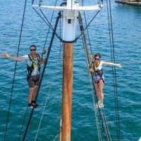 Sydney Harbour Tall Ship Sydney Harbour - Nigel 