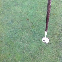 Cal's first ace. See the little ball in the cup? Healesville GC. 