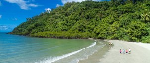 Daintree Rainforest & Cape Tribulation Tour