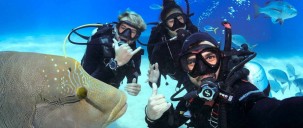 Learn to Dive Course - 4 & 5 Days - Divers Den