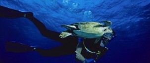 Liveaboard Dive Boat - Divers Den