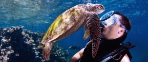 Liveaboard Dive Boat - Pro Dive