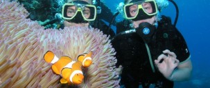 Learn to Dive Course - 5 days - Pro Dive