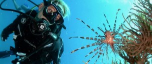 Learn to Dive Course - 3 Days - Reef Encounter