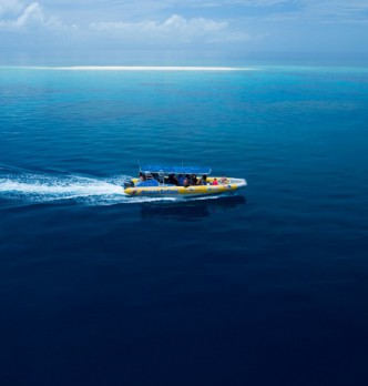 Cape Tribulation Jet Boating Tours
