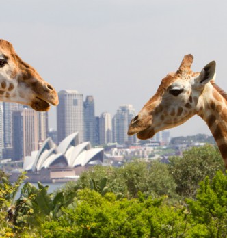Zoos & Sanctuaries
