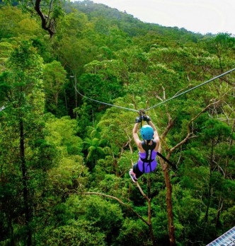 Gold Coast Zipline Tours