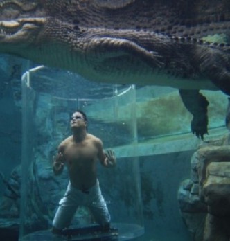 Crocodile Experiences
