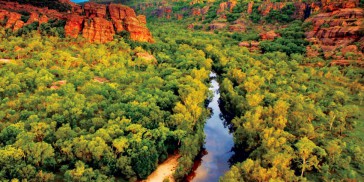 Kakadu National Park Day Tour - Everything Australia