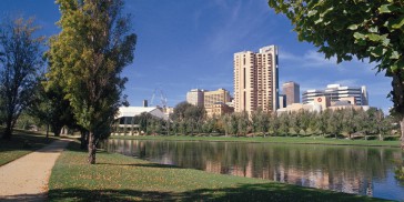 Adelaide Highlights Tour - Everything Australia