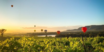 Ballooning - Hunter Valley Balloon Aloft - Everything Australia