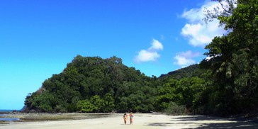 Uncle Brians - Cape Tribulation 1 Day Tour - Everything Australia