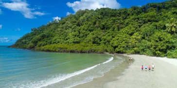 Daintree Rainforest & Cape Tribulation Tour - Everything Australia