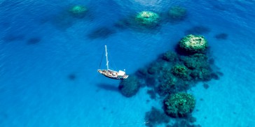 Reef Boat Overnight - Coral Sea Dreaming - Everything Australia