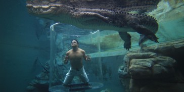 Crocosaurus Cove Cage of Death - Everything Australia