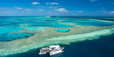 Great Barrier Reef Day Trip - Cruise Whitsundays - Everything Australia