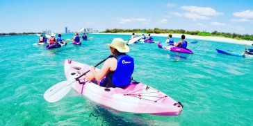 Kayaking - Dolphin & Stradbroke Island Tour - Everything Australia