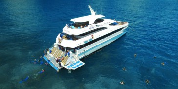 Reef Boat Day Trip - Down Under Cruise & Dive - Everything Australia