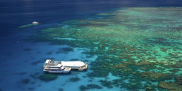 Reef Boat Day Trip - Great Adventures - Everything Australia