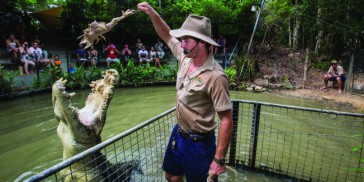 Hartley's Crocodile Adventures - Everything Australia