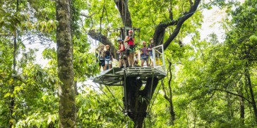 Jungle Surfing - Cape Tribulation - Everything Australia