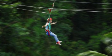 Jungle Surfing & Cape Tribulation Highlights - Everything Australia