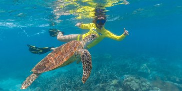 Ocean Safari - Everything Australia