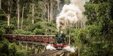 Puffing Billy & Blue Dandenongs - Everything Australia