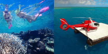 Reef Fly & Cruise Combo - Down Under Cruise & Dive - Everything Australia