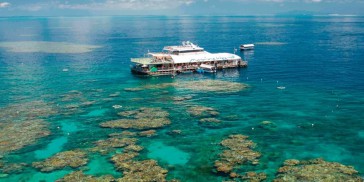 Reef Boat Day Trip - Reef Magic - Everything Australia