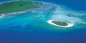 Low Isles Day Trip - Port Douglas - Wavedancer - Everything Australia