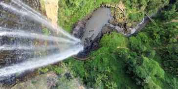 Hinterland Half Day Tour - Rainforest & Wildlife Tour - Everything Australia
