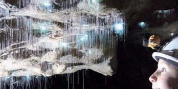 Glow Worms, Star Gazing & Goomoolahra Falls - Everything Australia
