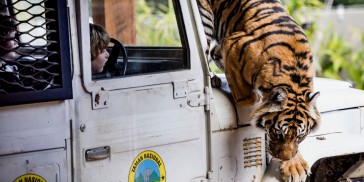 Taronga Zoo - Everything Australia