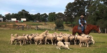 Aussie Farm Food & Wine Trail - Everything Australia