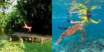 Cape Tribulation 2 Day Combo Tour - Rainforest & Reef Snorkel - Everything Australia