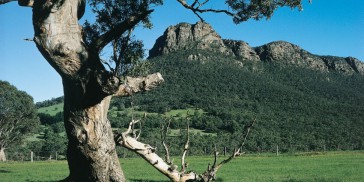 Grampians National Park Day Tour - Everything Australia