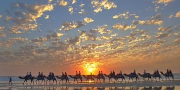 Camel Rides - Broome Camel Safaris - Everything Australia