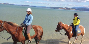 Horse Riding - Horse Riding Tasmania - Everything Australia