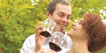 Wine Tours - Hunter Valley Wine Tasting - Everything Australia