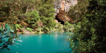 Jenolan Caves & Blue Mountains Day Tour - Everything Australia