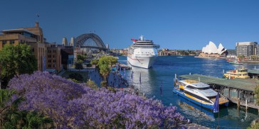 My Fast Ferry - Sightseeing Cruise - Everything Australia