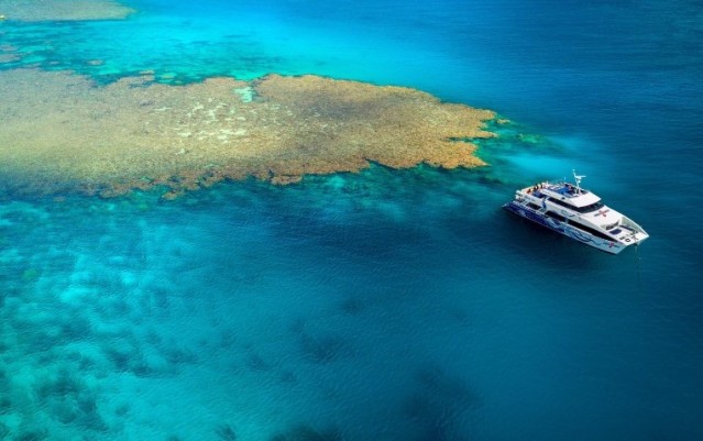 Reef Boat Day Trip - Sea Quest