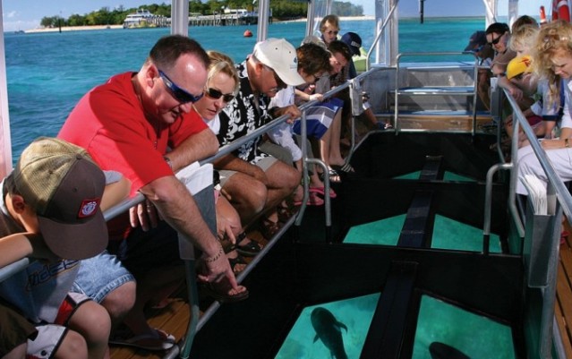 Green Island Half Day Reef Cruise - Reef Rocket