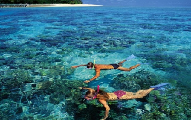 Green Island Reef Cruise Full Day - Big Cat